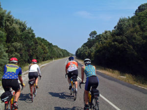 A group of four cyclists in lycra outfits with helmets on a remote road rides away from the camera. They are riding on the left side of the road. The road is surrounded by dense trees under a blue sky.