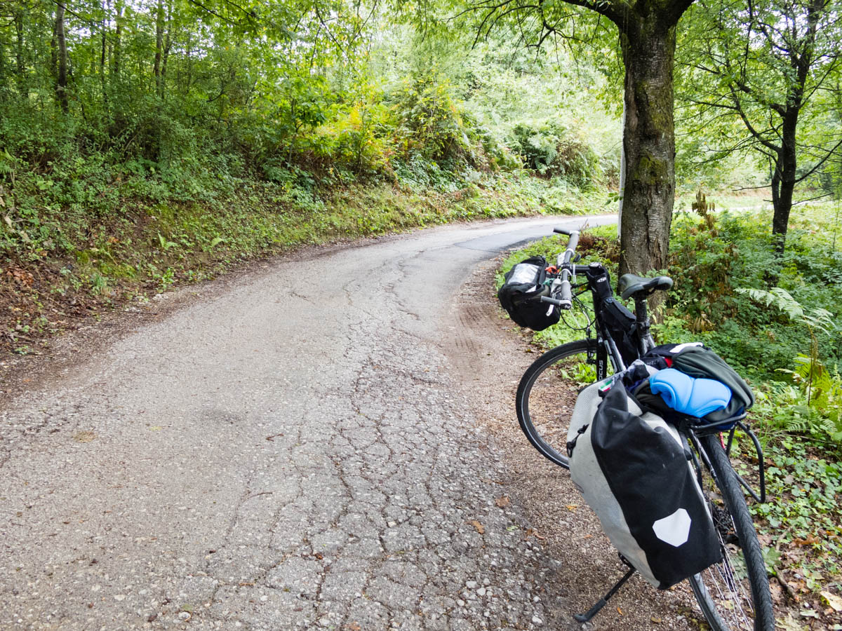 A hybrid bicycle with one pannier rests on a kickstand on a one-lane road through a forest. The road looks very quiet, and the pavement is somewhat broken up, with dirt and leaves on the edge of the road on both sides.