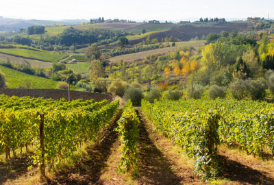 Italy 2018: Conclusion