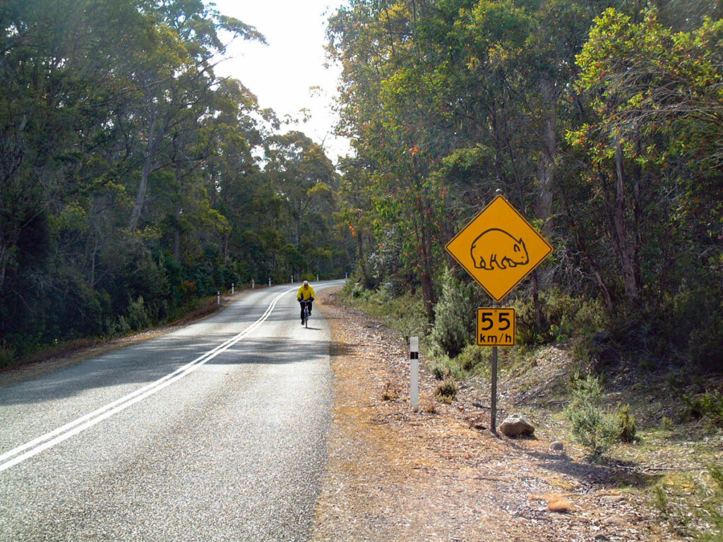 Cyclist on left side of road, near Wombat Crossing sign