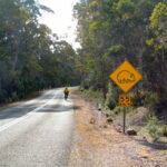 Cyclist on left side of road, near Wombat Crossing sign