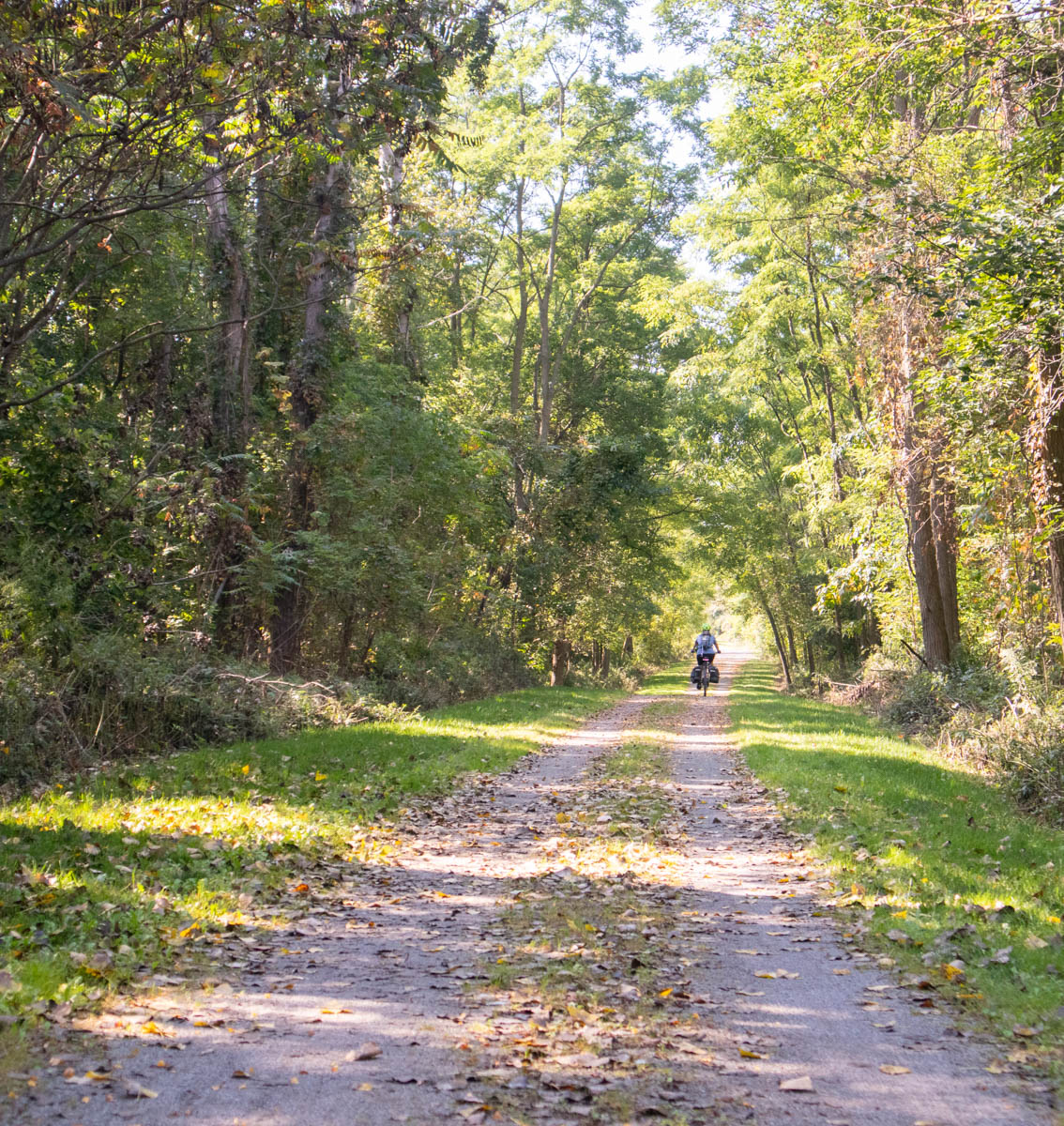 A tree lined double-track path through the woods is dappled with sunlight. A few leaves are on the ground. In the distance, near the vanishing point of the road, a bicyclist with panniers rides towards a bright clearing.