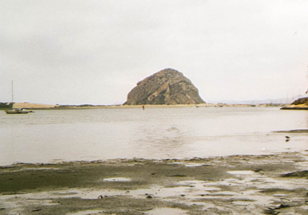 A large sea stack looms over a tidal lagoon. In the foreground are wet mud flats with flotsam.