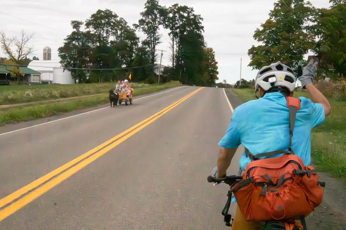 A bicyclist, riding away from the camera, in a bright turquoise shirt with a bag slung over his shoulder, waves at three young girls in Amish garb in a wagon on the other side of the road, being pulled by a black donkey.