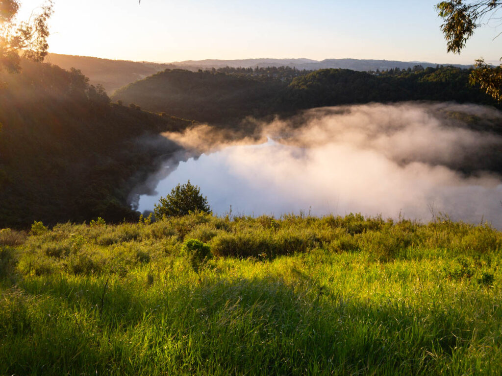 A peaceful sunrise scene above a lake. The sun is just coming over a right to the left of the image, lighting grasses on the hill in the foreground, and lighting fog hanging over the lake itself.