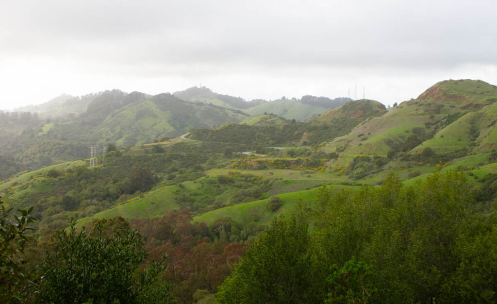 A landscape of rolling green hills, with patches of red in the valleys, and yellow patches on the hillsides. The sky is gray and threatening, but a late afternoon sun is providing some light along the horizon.