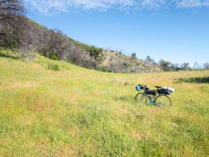 A bicycle with a bikepacking baggage setup stands in a meadow of greenish-brown grass and wild flowers in the late afternoon of a sunny day. To the left of the image is a ridge of hills with oak trees.